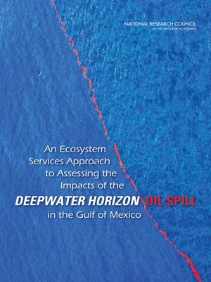 cover image of An Ecosystem Services Approach to Assessing the Impacts of the Deepwater Horizon Oil Spill in the Gulf of Mexico